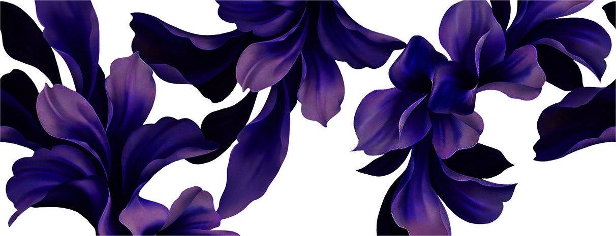 Blue Roses